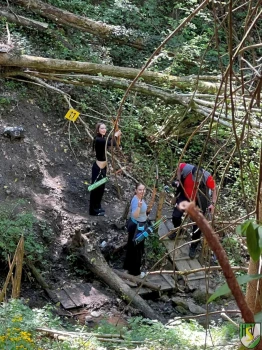 3ed87463-335c-42b1-951f-df5d4022a5a6