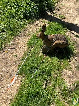 75d1c3cf-7659-4276-90d6-7d7d8a58cc1c