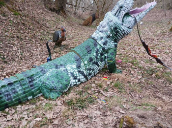 HSV-Vlbg-Pillepalle_2260