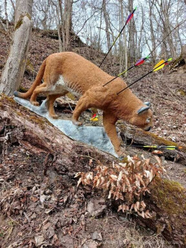 HSV-Vlbg-Pillepalle_2261