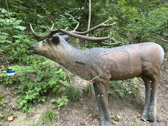 Bogenschiessen 65 Jahr-Jubiläum des HSV Vorarlberg