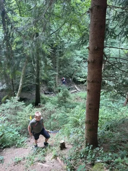 65-Jahr-Jubiläum-HSV-V-7758