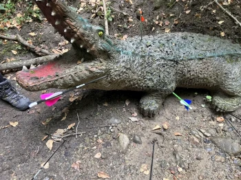 65-Jahr-Jubiläum-HSV-V-7768