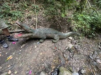65-Jahr-Jubiläum-HSV-V-7769
