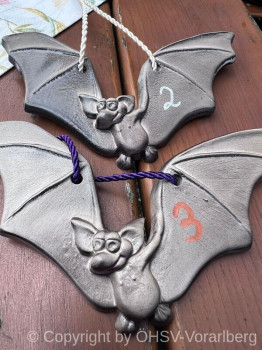 Berglöwenturnier-in-Götzis_3