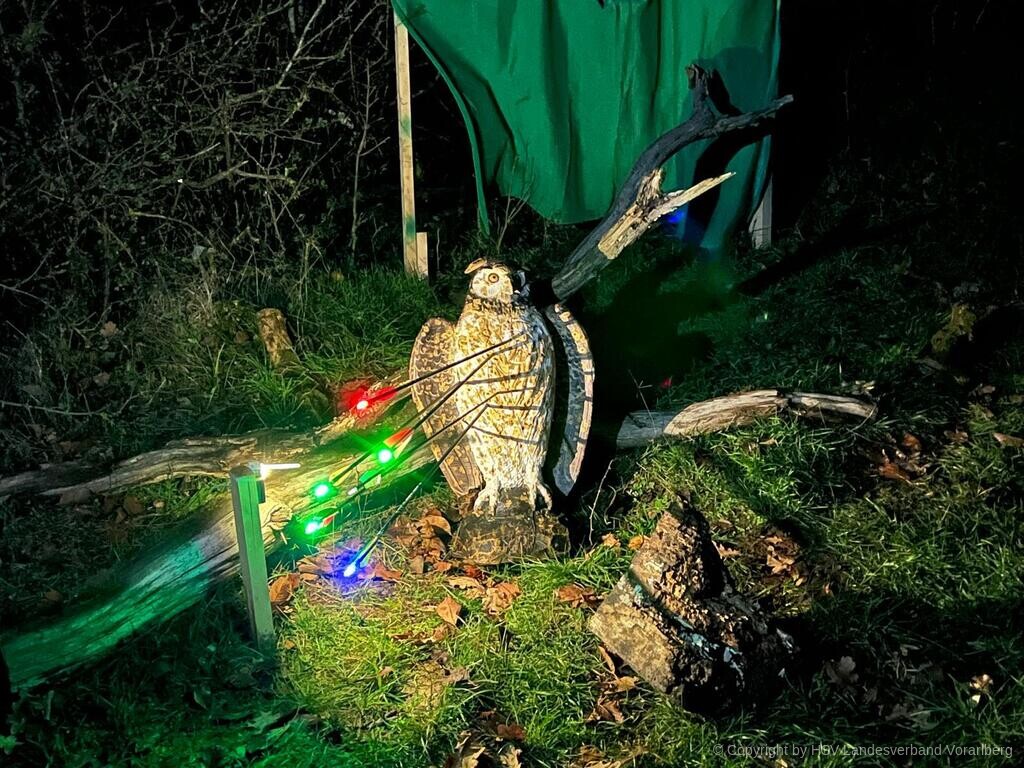 🎯 Nachtturnier Bopfingen