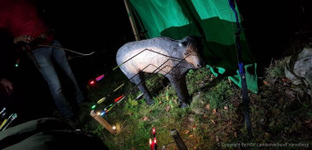 Nachtturnier-Bopfingen-4