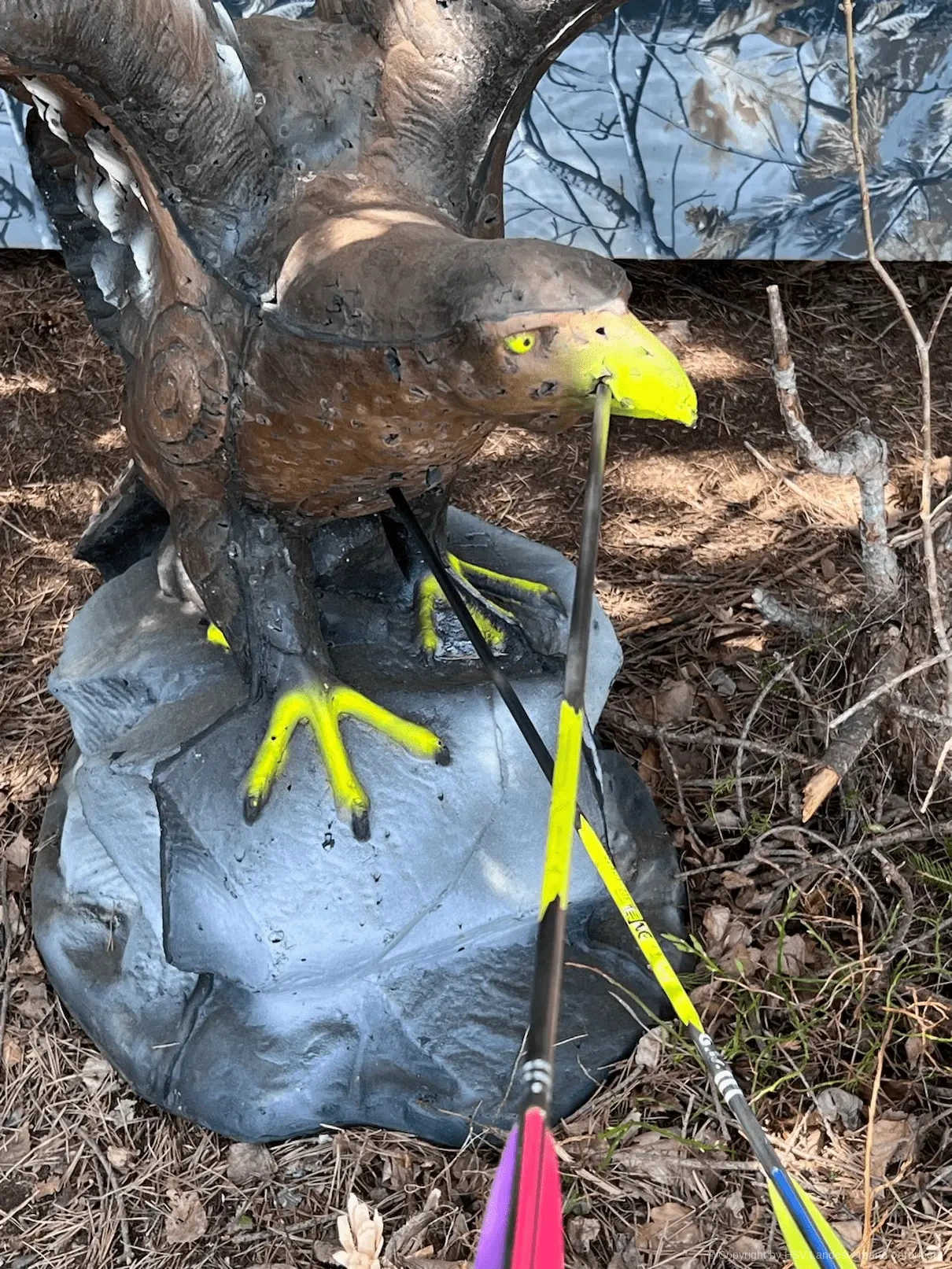 Erfolgreiches Turnierwochenende am Ritten in Südtirol