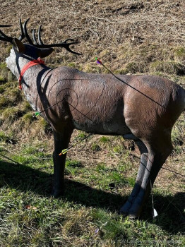 Turnier-Ritten-Südtirol-4