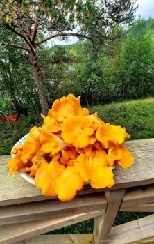 Herbstfischerreise-Heilhornet_28