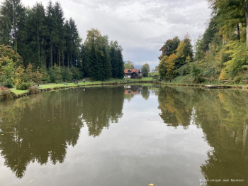 HSV-Vorarlberg_Fischen_Abfischen_Hohenems_2022_41