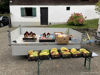 HSV-Vorarlberg_Fischen_Abfischen_Hohenems_2022_69