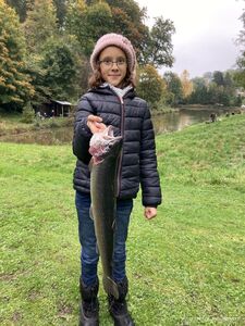 Abfischen 2022 – Saisonabschluss bei Kaiserwetter