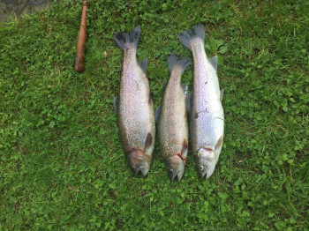 Anfischen_Hohenems_2018_4651