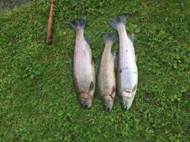 Anfischen Hohenems 2018