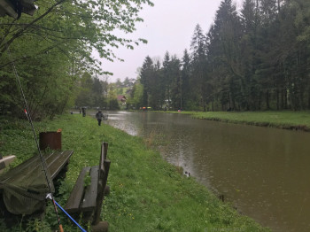 Anfischen_Hohenems_2019_2937