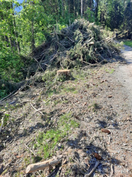 Teichsanierung-2021-06-10-16-58-19