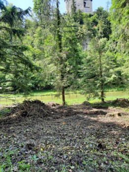 Teichsanierung-2021-06-10-16-59-26