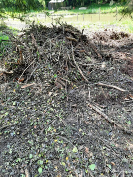 Teichsanierung-2021-06-10-16-59-27