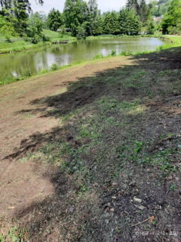 Teichsanierung-2021-06-12-13-49-47