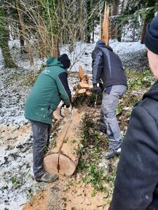 Arbeitseinsätze 2021 – Teamgeist trotz Schnee und Kälte