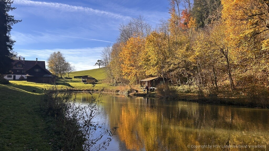 🎣 Ein herrlicher Tag am Weiher