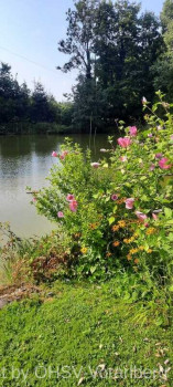 Geburtstagsfischen-12