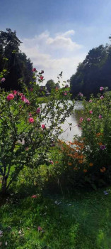 Geburtstagsfischen-14