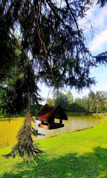 Geburtstagsfischen-3