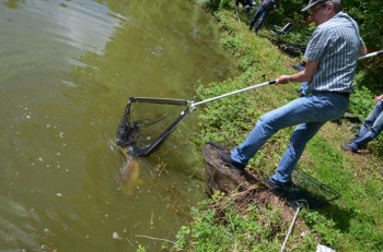 hsv-fischen_anfischen_hohenems_2015_2418
