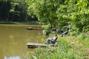 hsv-fischen_anfischen_hohenems_2015_2420
