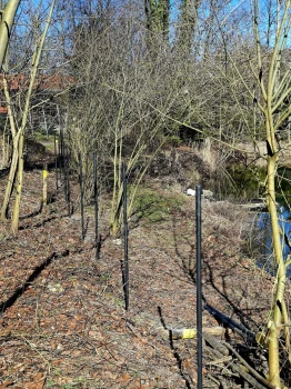 zaun-steher-in-reih-glied