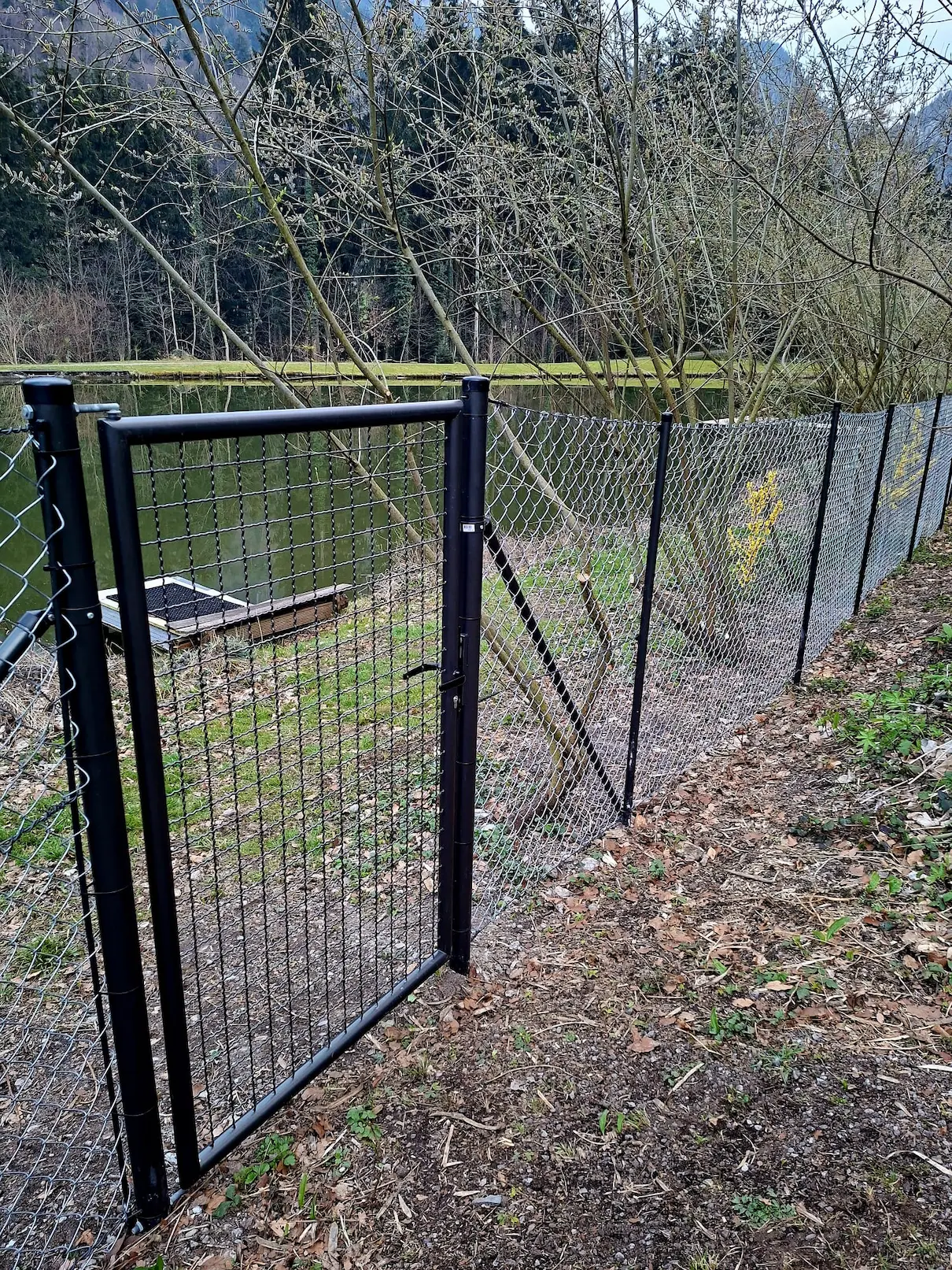 Fertiggestellter Zaun am Fischteich des HSV-Vorarlberg